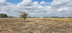 Land for Sale in Kitengela