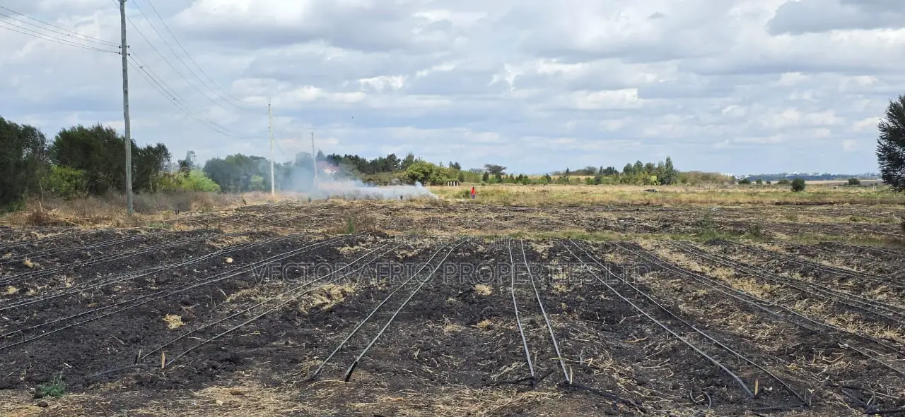 Land for Sale in Kitengela