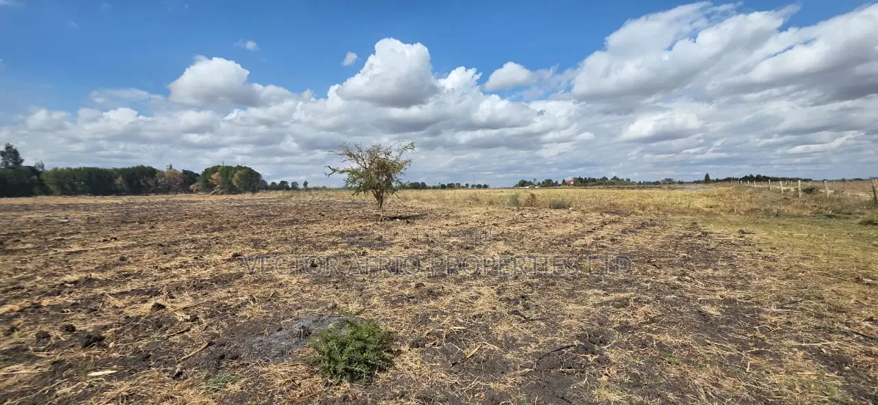 Land for Sale in Kitengela