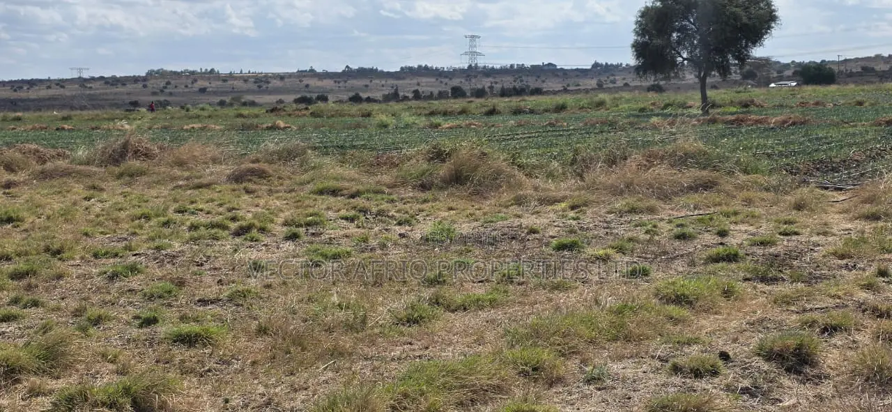 Land for Sale in Kitengela