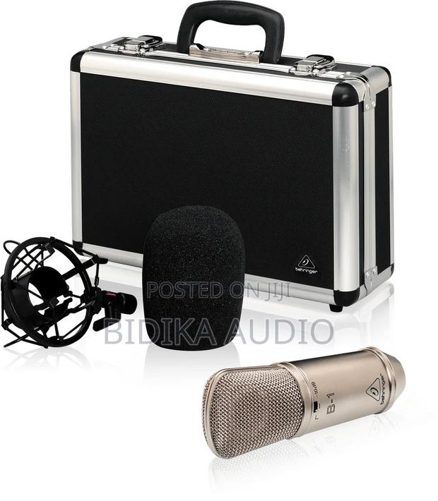 Behringer B-1 Condenser - main view