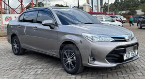 Toyota Axio 2019 Gray