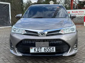 Toyota Axio 2019 Gray