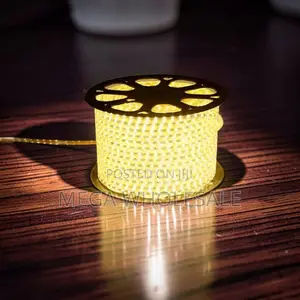Outdoor 50M Metres SMD Warm White Led Strip Light Snake Light