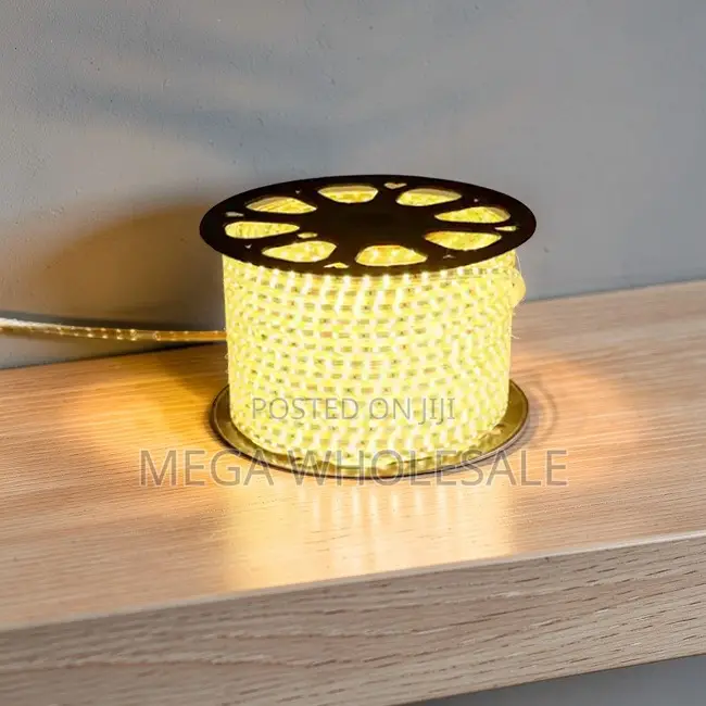 Home Use 50M Metres SMD Warm White Led Strip Light Snake Light