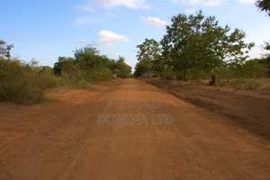 Oasis Garden Golimba.