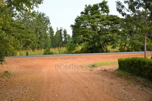 Oasis Garden Golimba.
