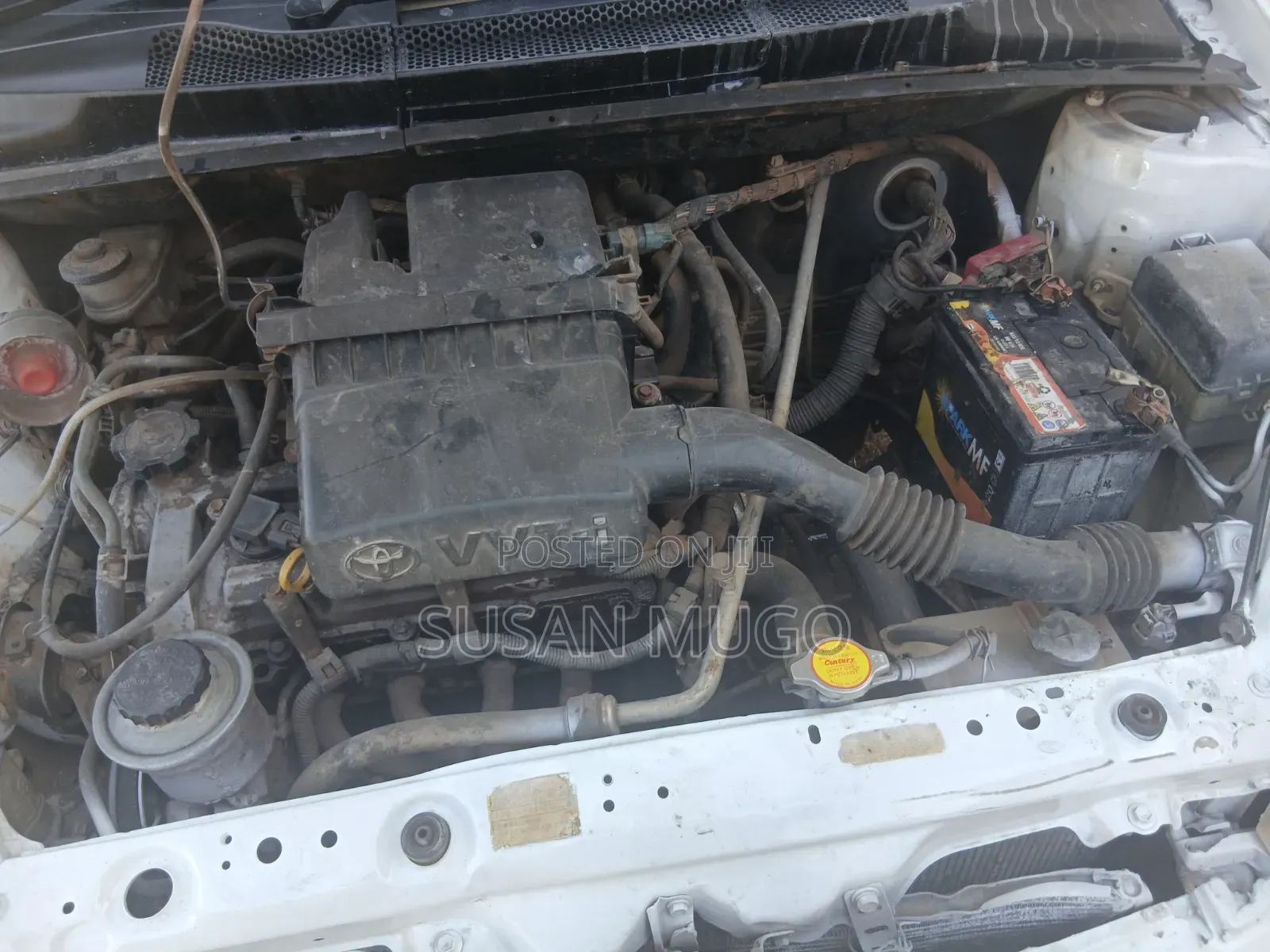 Toyota Vitz 2003 White