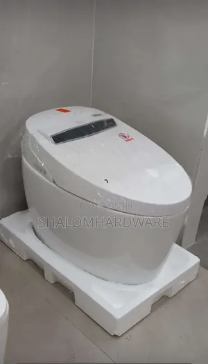 Toilet Automatic