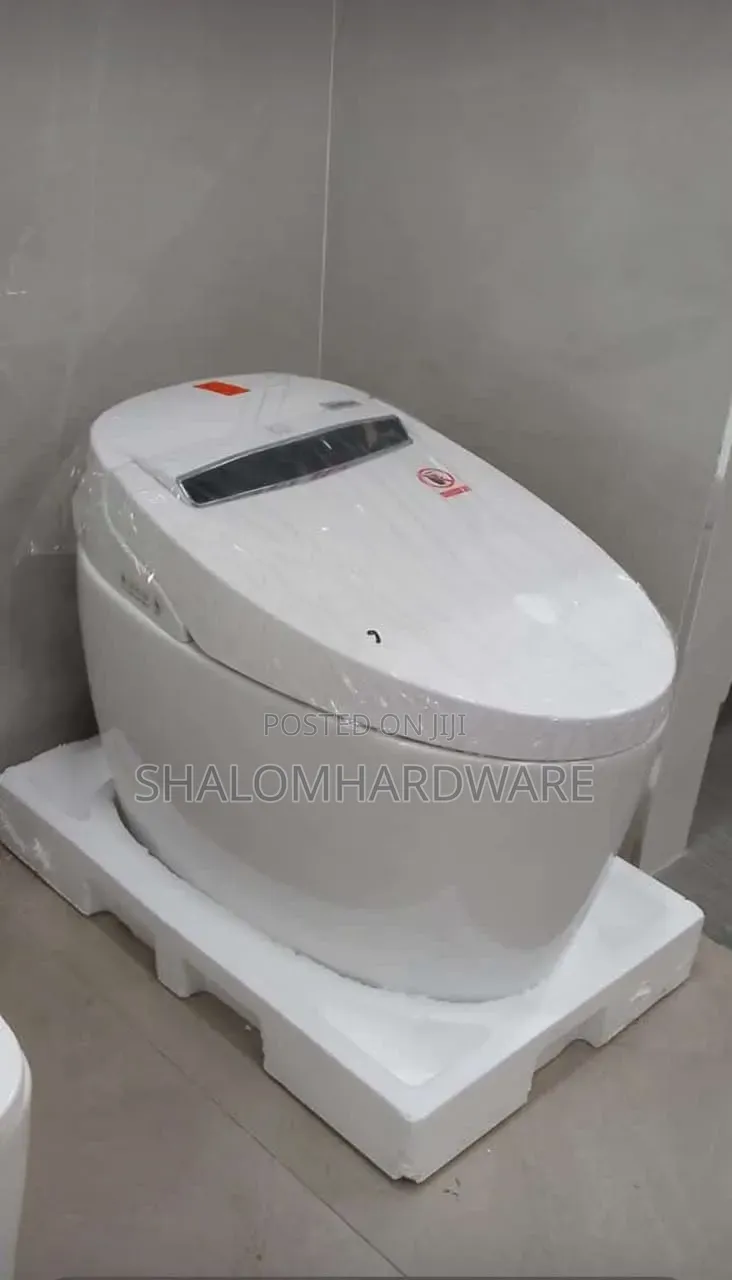 Toilet Automatic