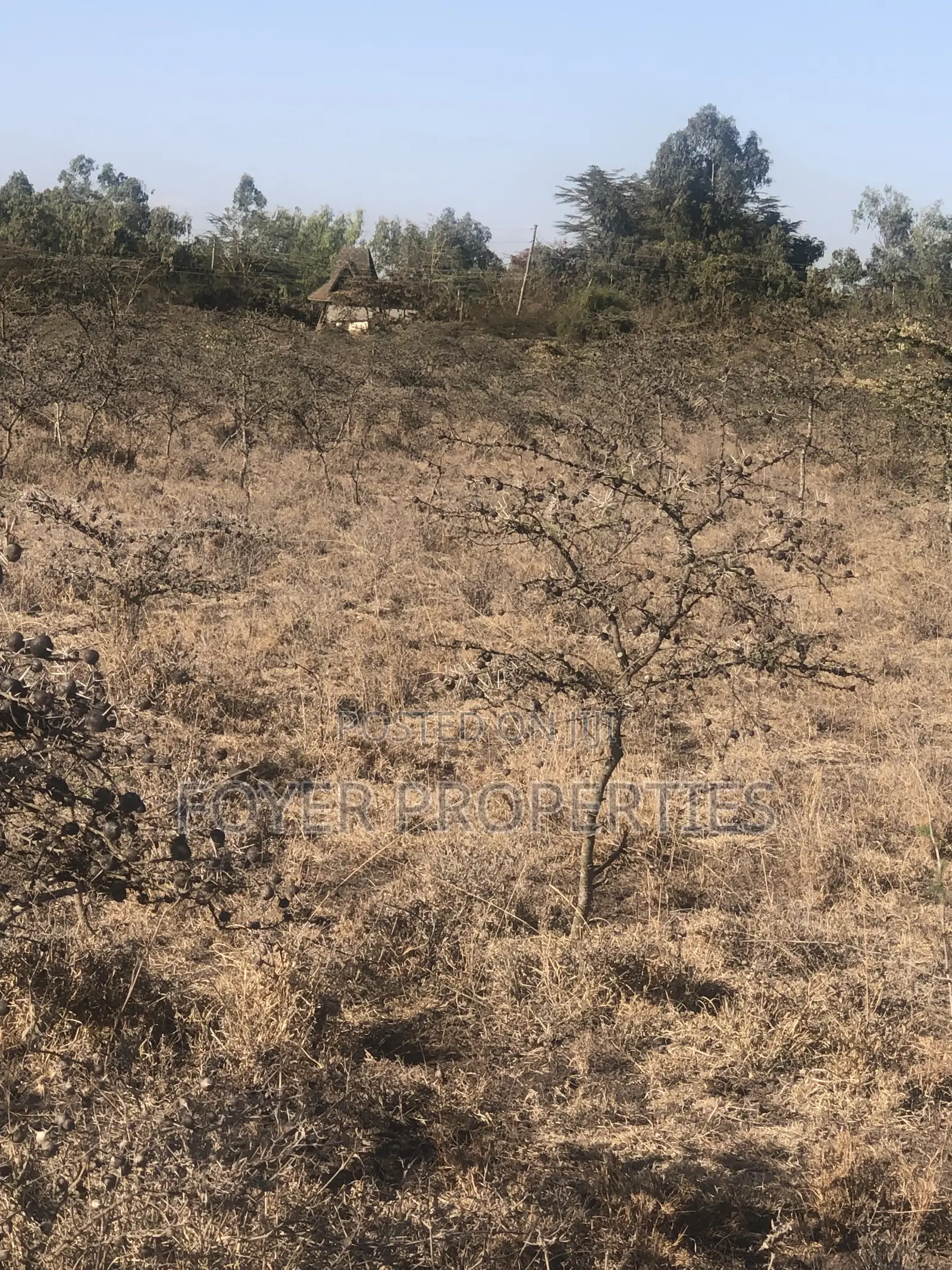 3 Acres Land in Tuala