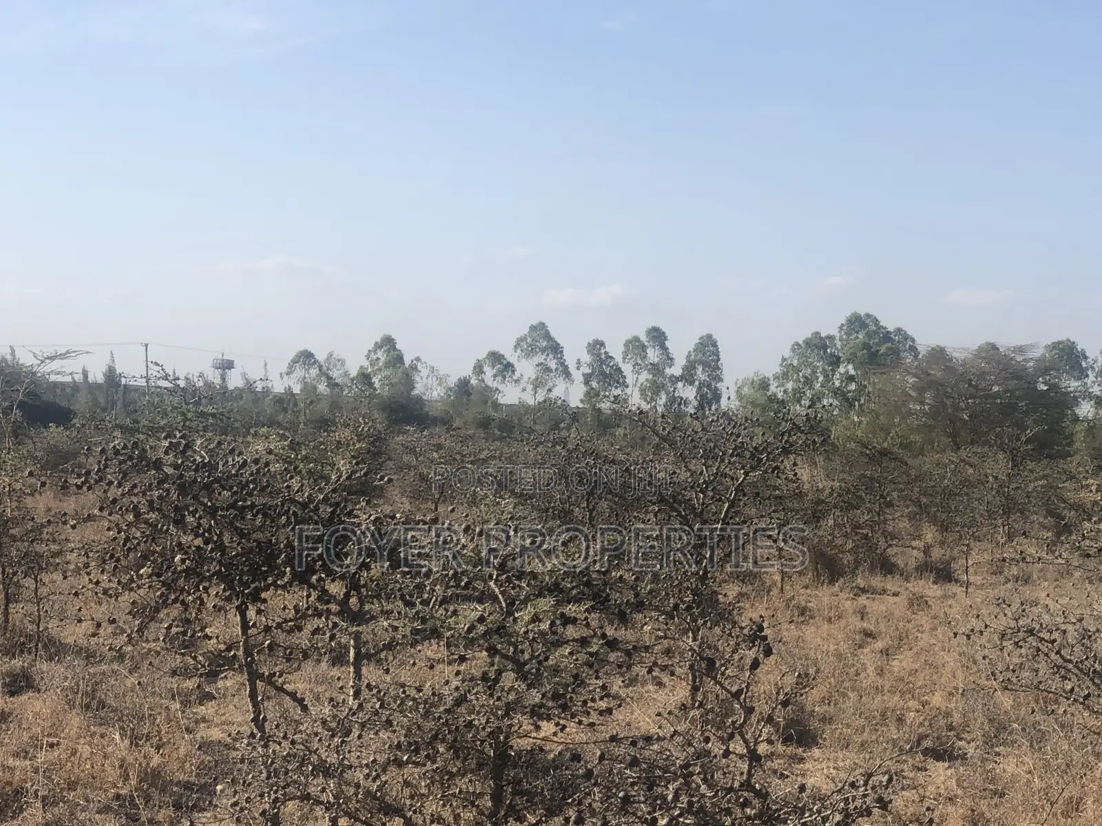 3 Acres Land in Tuala