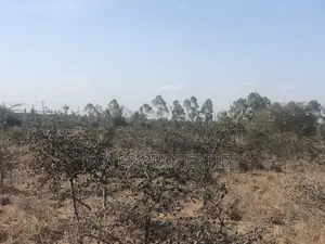 3 Acres Land in Tuala