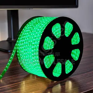 Wall Décor 50M Metres SMD Color Green Led Strip Light Snake Light