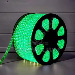 Home Use 50M Metres SMD Color Green Led Strip Light Snake Light
