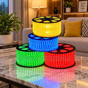 Durable LEDs 50Meter Outdoor Snake Light With Connector