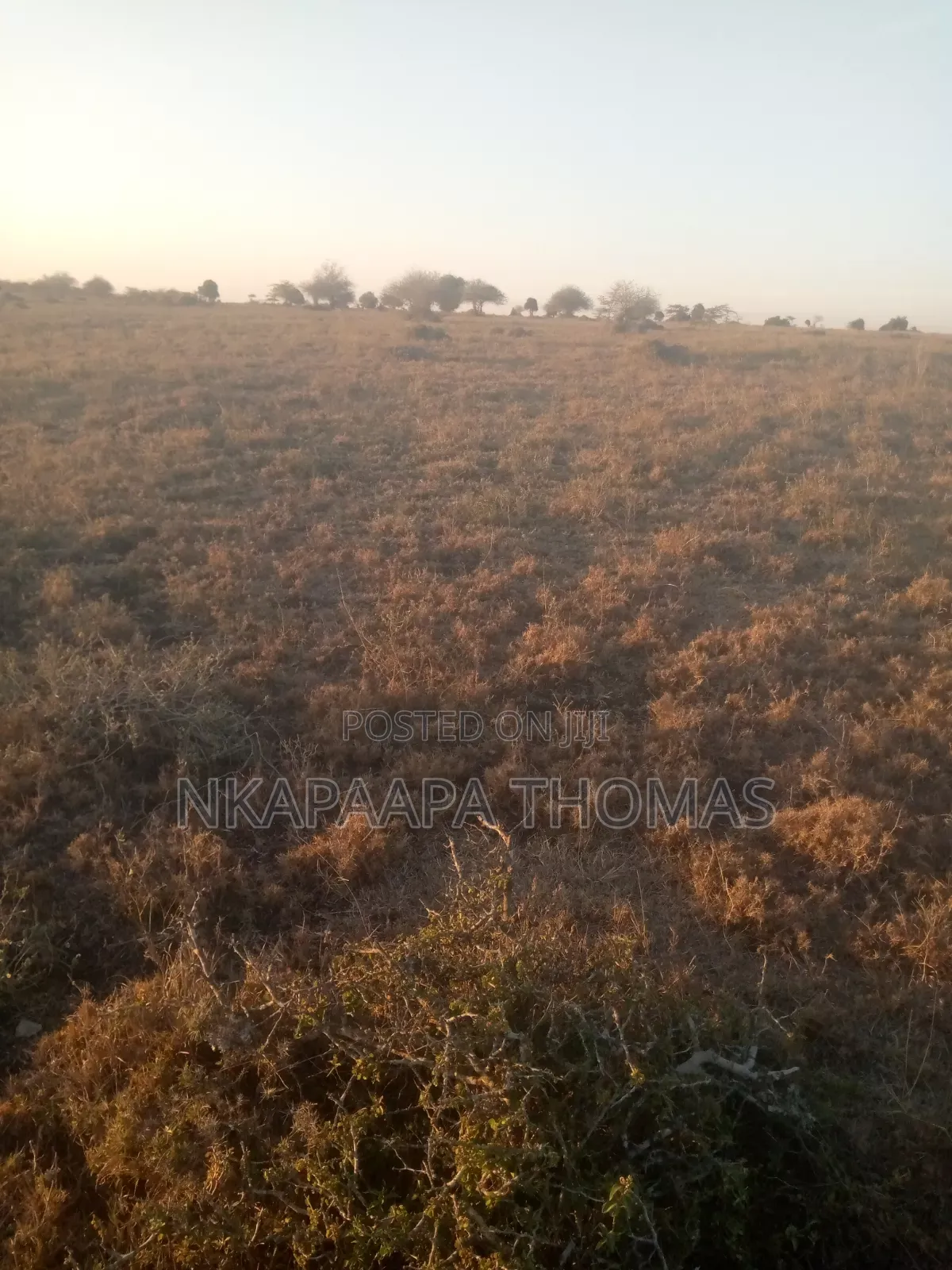 Land for Sale Bordering NNP Near Hippo Pools, 10m/Acre
