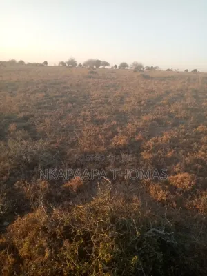 Land for Sale Bordering NNP Near Hippo Pools, 10m/Acre