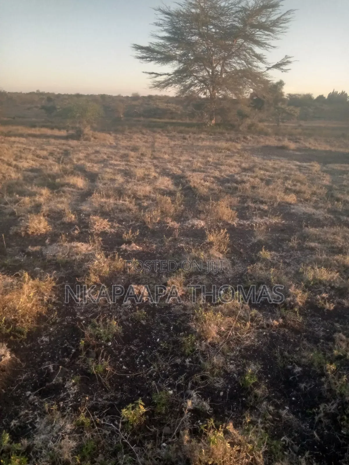 Land for Sale Bordering NNP Near Hippo Pools, 10m/Acre