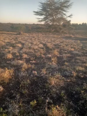 Land for Sale Bordering NNP Near Hippo Pools, 10m/Acre