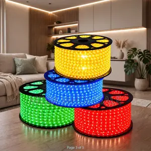 Electrical Safety 50Meter Outdoor Snake Light With Connector