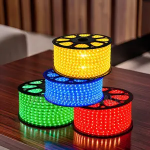 Strong Housing 50Meter Outdoor Snake Light With Connector
