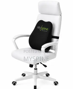 Lumbar Support Pillow