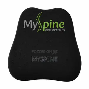 Lumbar Support Pillow