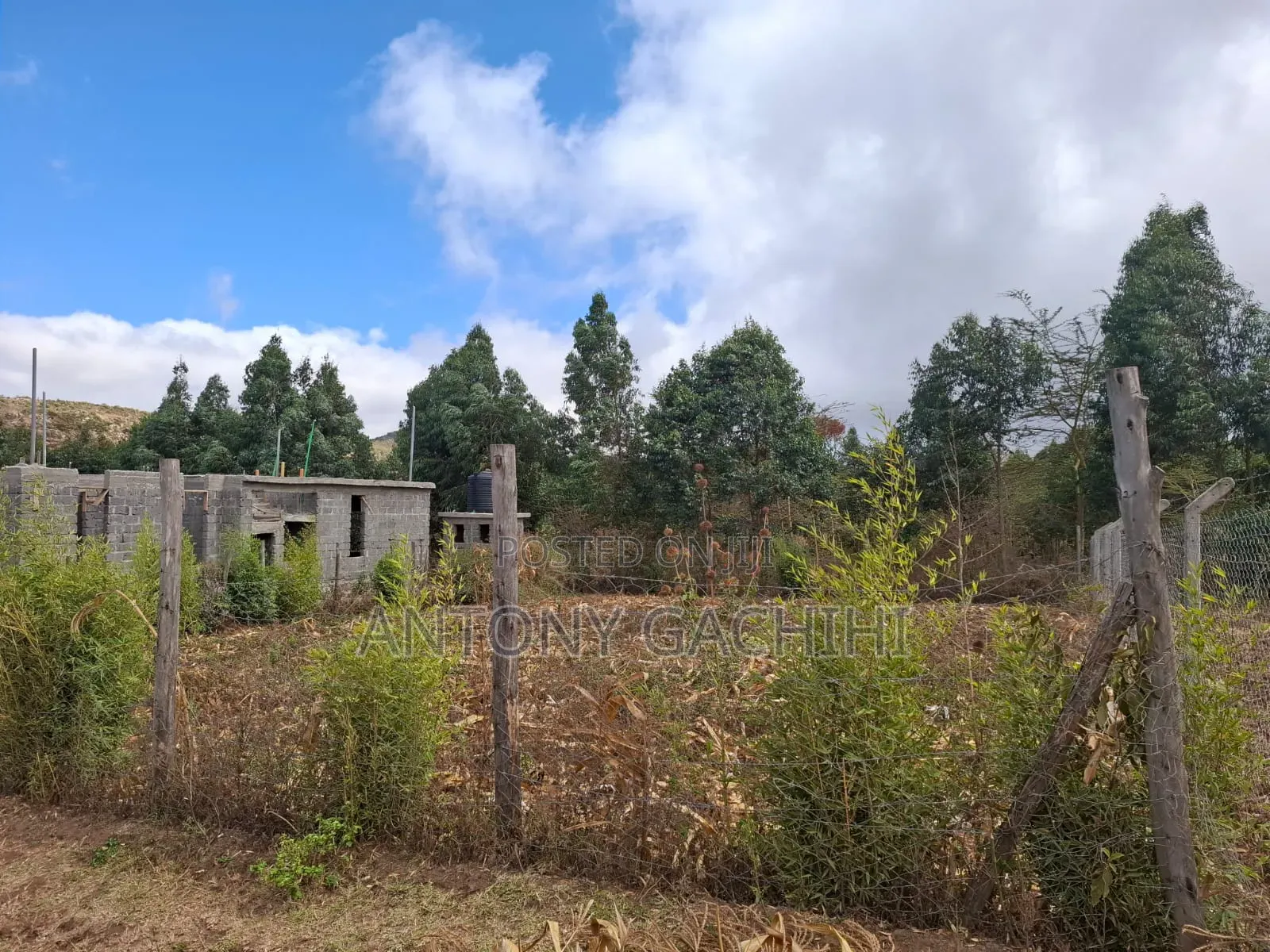 1/8 Land for Quick Sale - Near Developed Homes (Nguirubi, Ndeiya)
