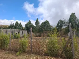 1/8 Land for Quick Sale - Near Developed Homes (Nguirubi, Ndeiya)