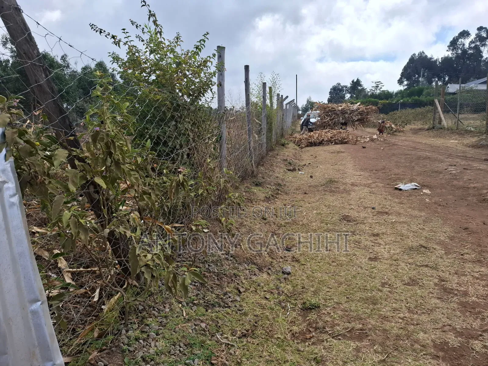 1/8 Land for Quick Sale - Near Developed Homes (Nguirubi, Ndeiya)