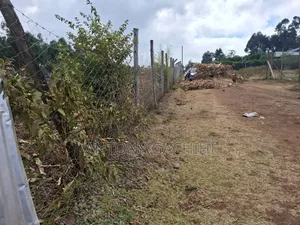 1/8 Land for Quick Sale - Near Developed Homes (Nguirubi, Ndeiya)