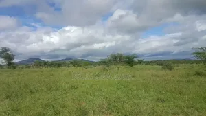 Land for Sale in Bissil