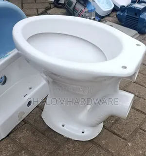 P Trap Toilet