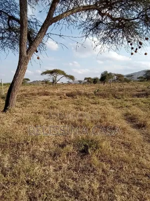 Plots for Sale in Bissil Town