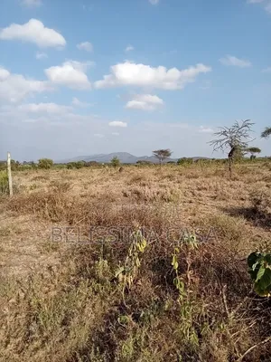 Plots for Sale in Bissil Town
