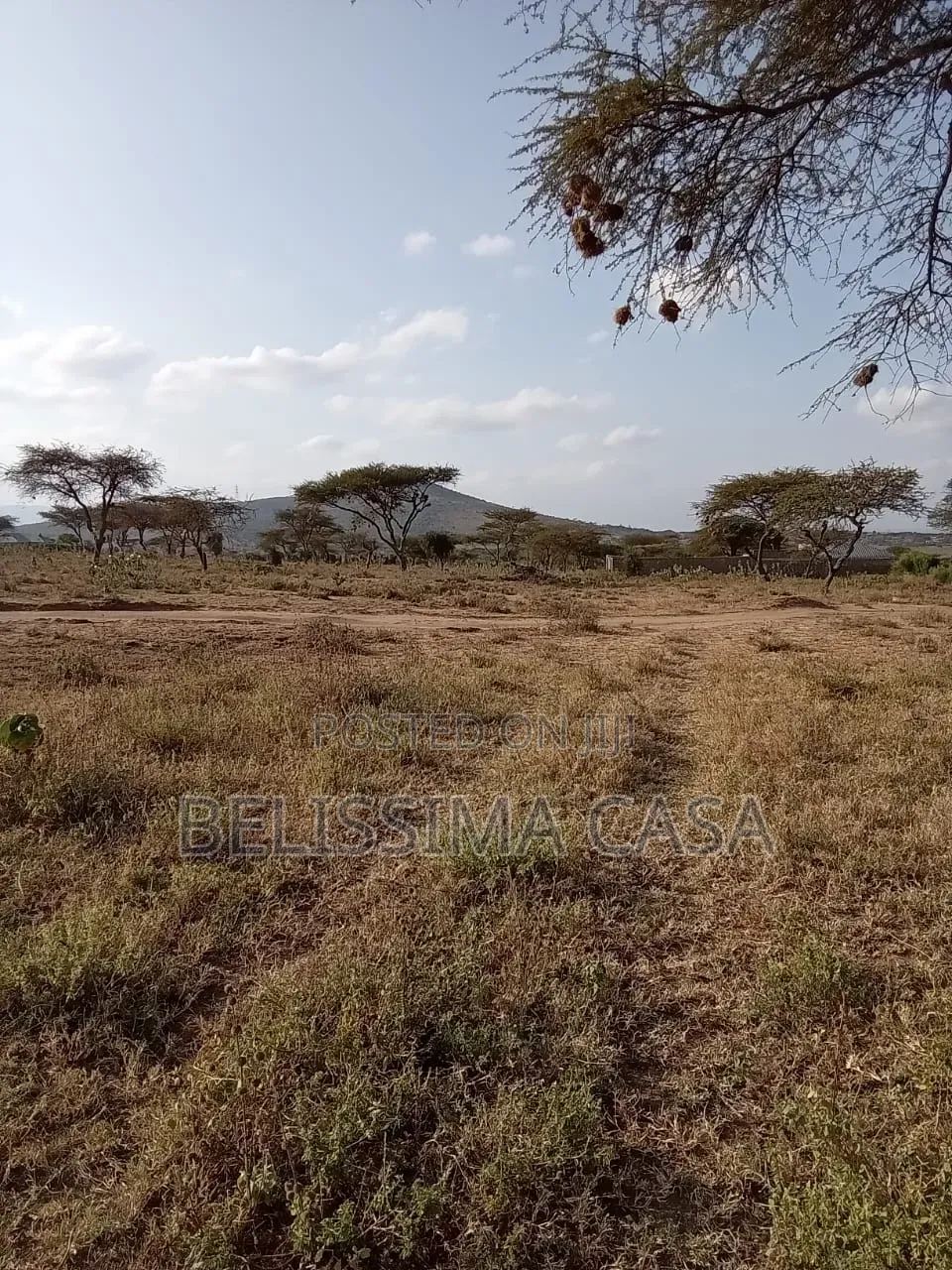 Plots for Sale in Bissil Town
