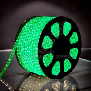 Indoor 50M Metres SMD Color Green Led Strip Light Snake Light