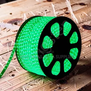 Easy to Install 50M Metres SMD Color Green Led Strip Light Snake Light