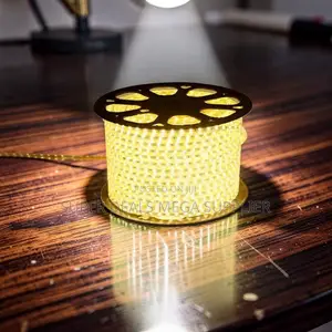 Long Indoor 50M Metres SMD Warm White Led Strip Light Snake Light