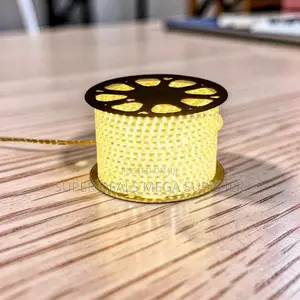 Ceiling Decor 50M Metres SMD Warm White Led Strip Light Snake Light