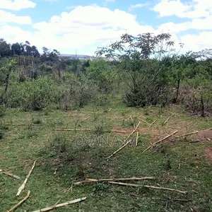 Prime 1-Acre Virgin Land – Only 200m From Tarmac