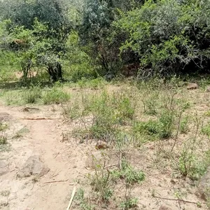 Prime 1-Acre Virgin Land – Only 200m From Tarmac