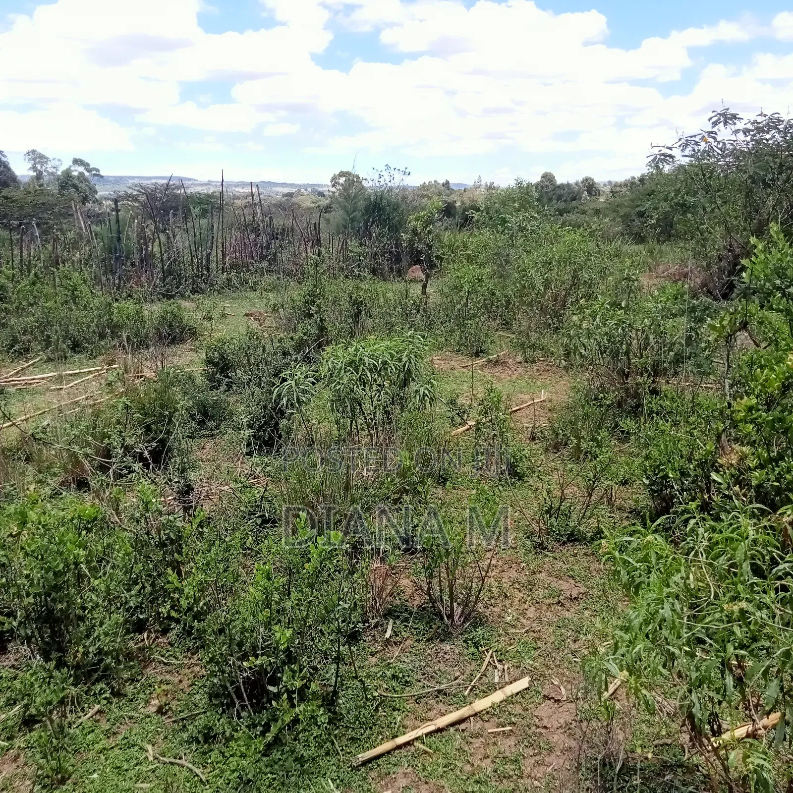 Prime 1-Acre Virgin Land – Only 200m From Tarmac