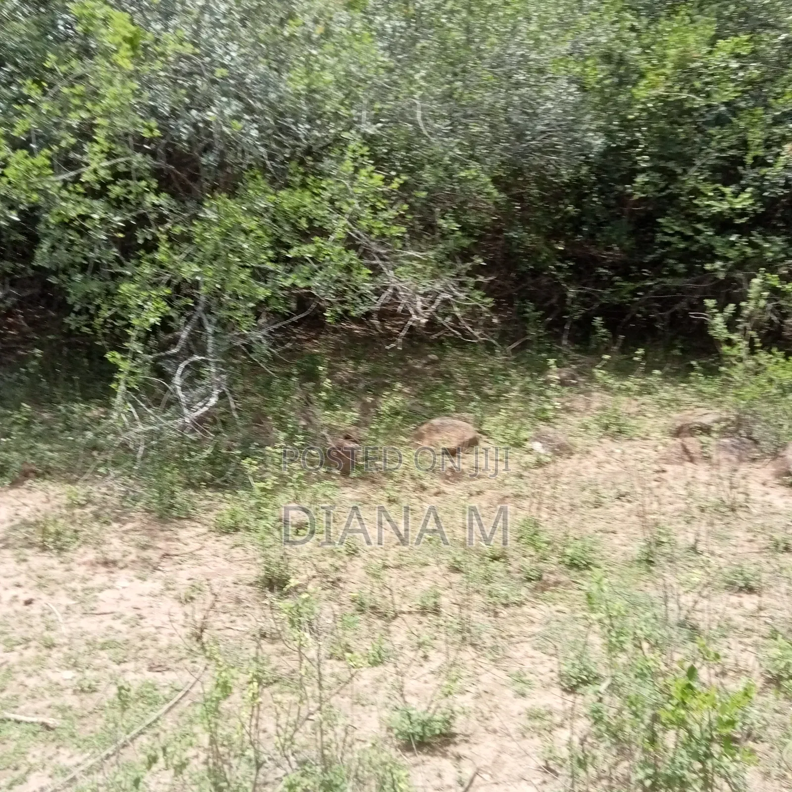Prime 1-Acre Virgin Land – Only 200m From Tarmac