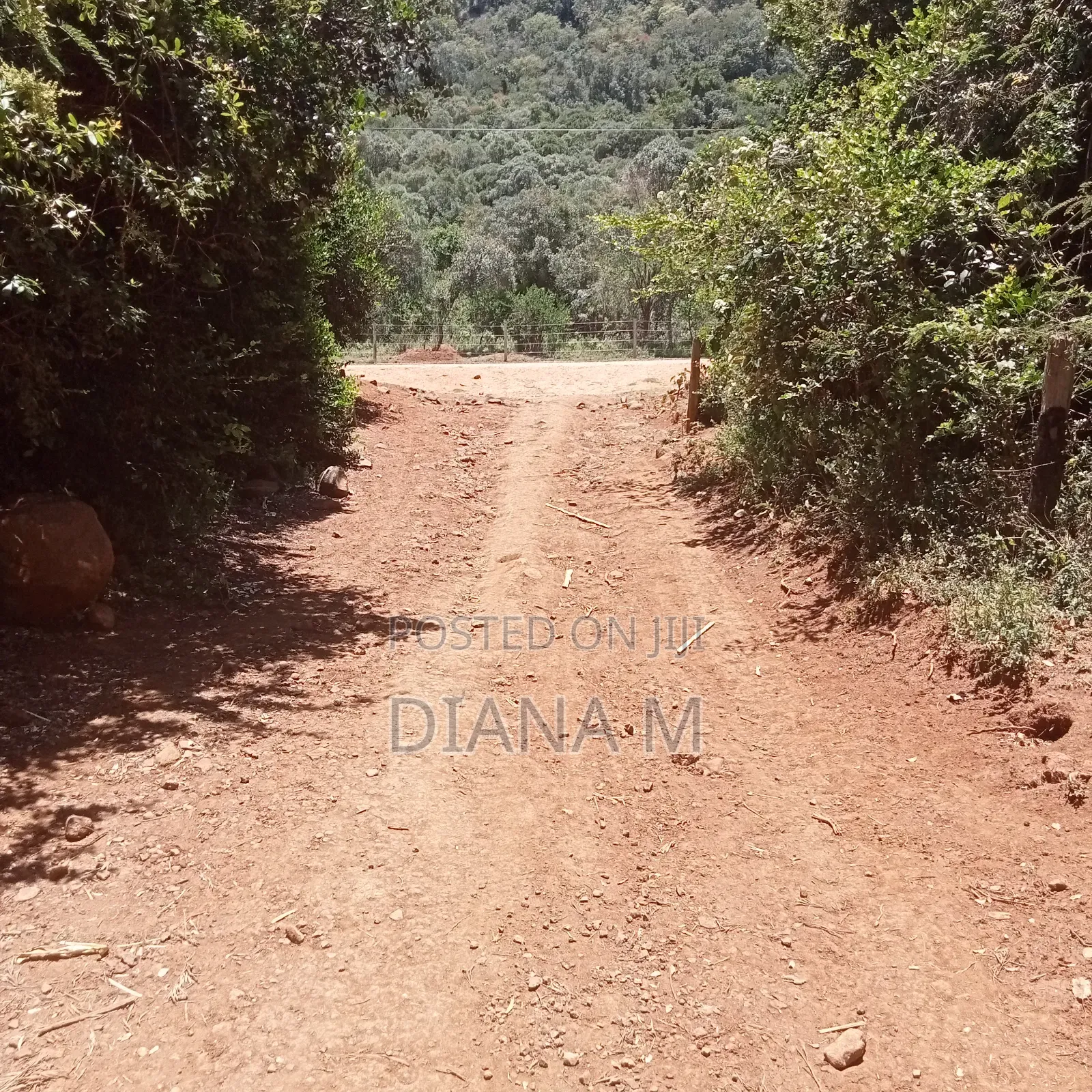 Prime 1-Acre Virgin Land – Only 200m From Tarmac