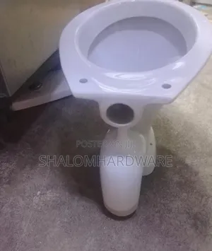 S Trap Toilet Ordinary