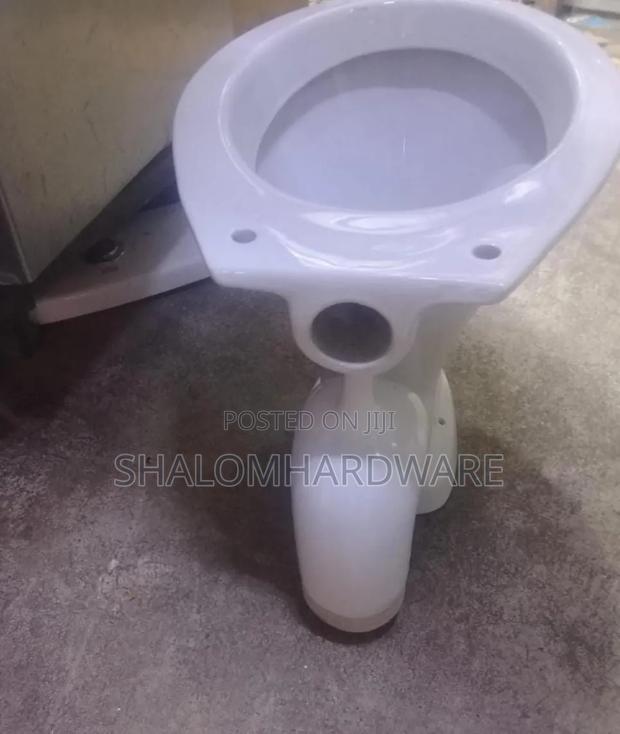 S Trap Toilet Ordinary