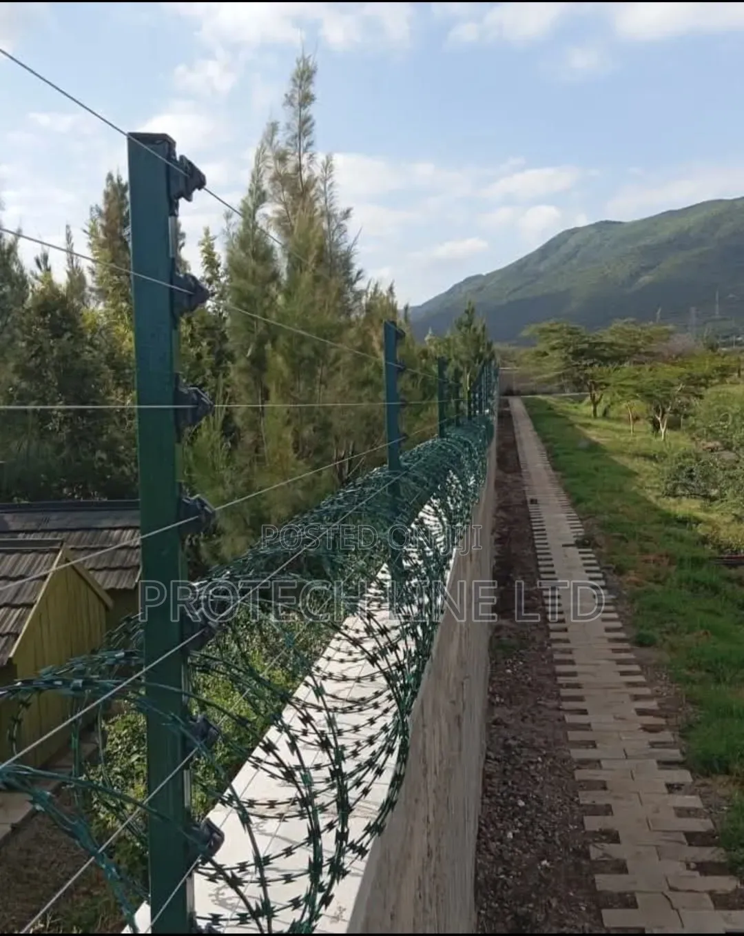 Galvanized Green Razor Barbed Wire