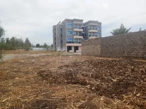 40 by 80 Plot Twiga, Ruiru Courtesy Beach